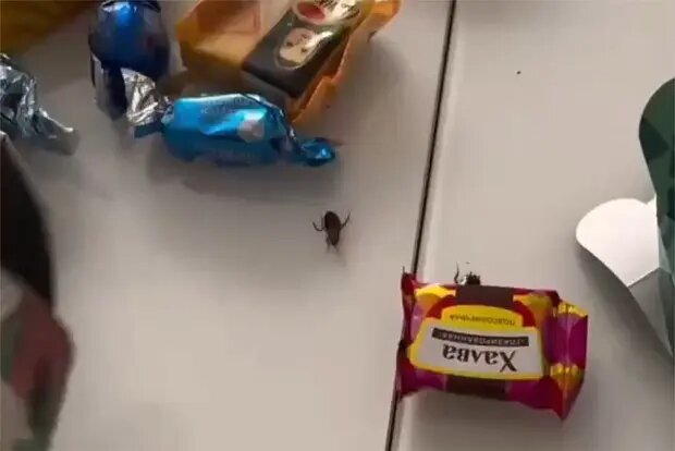    Фото: lenta.ru Олеся Шмелева