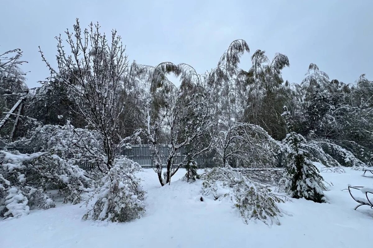    На Дону к предстоящим снегопадам подготовили 517 единиц спецтехники