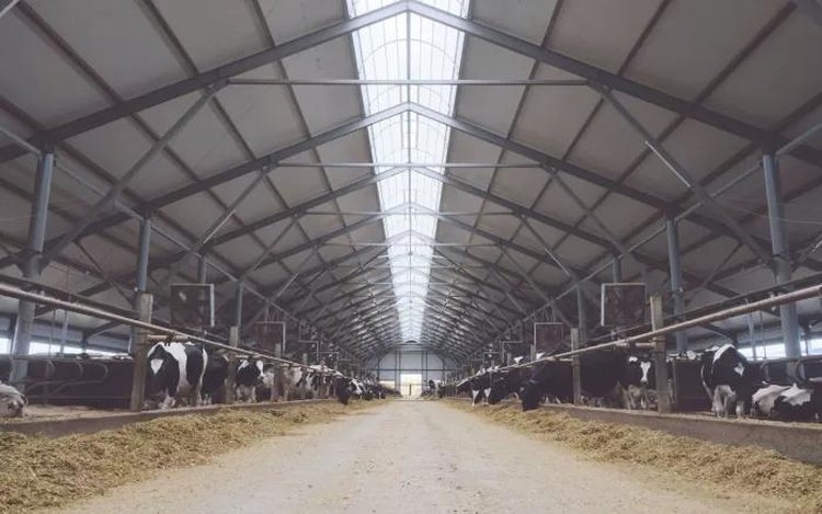    Фото: Минсельхоз Республики Башкортостан