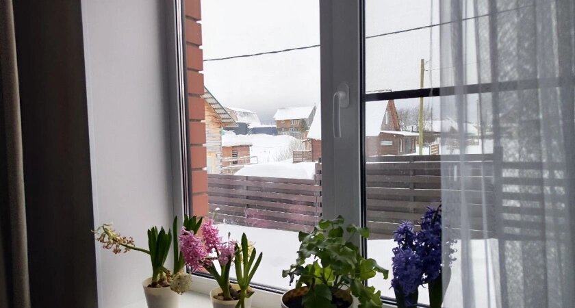    Фото usolie.info