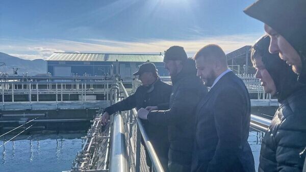    © Telegram-канал Юрия Гоцанюка