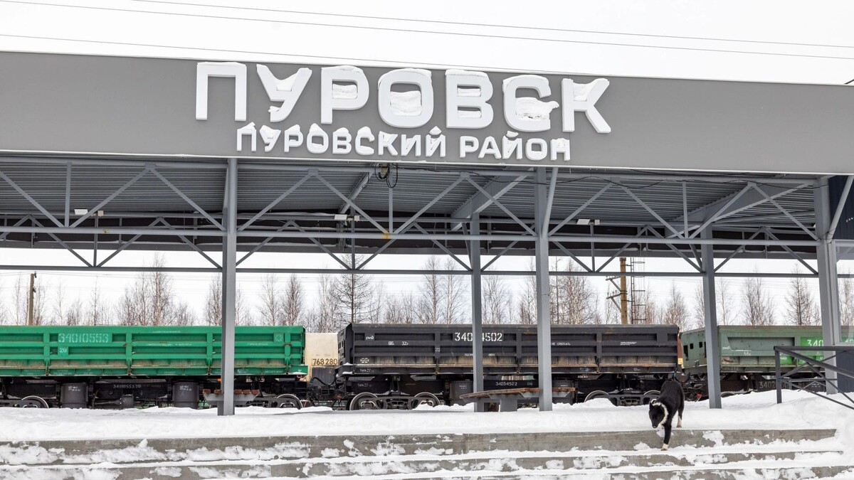    Фото: Федор Воронов / «Ямал-Медиа»