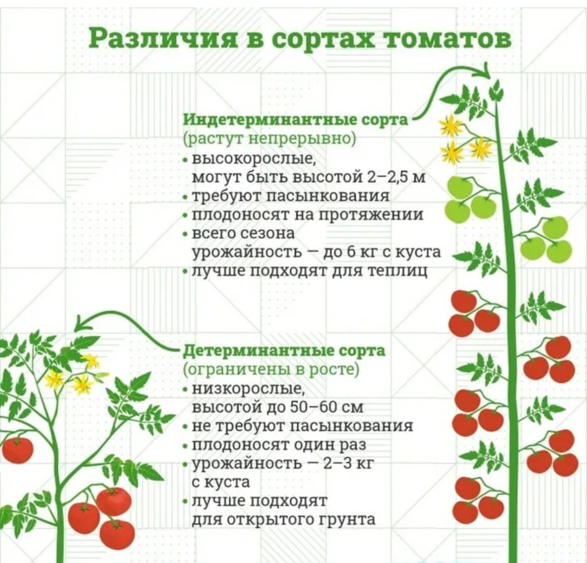 Иногда даже детерминантные( требуют пасынкования, частичного)