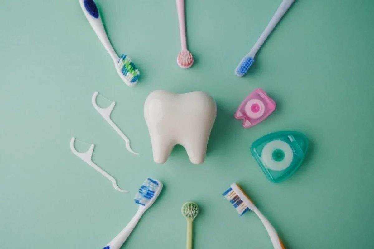    Исследование новгородских учёных имеет и выраженное практическое, даже экономическое значение.