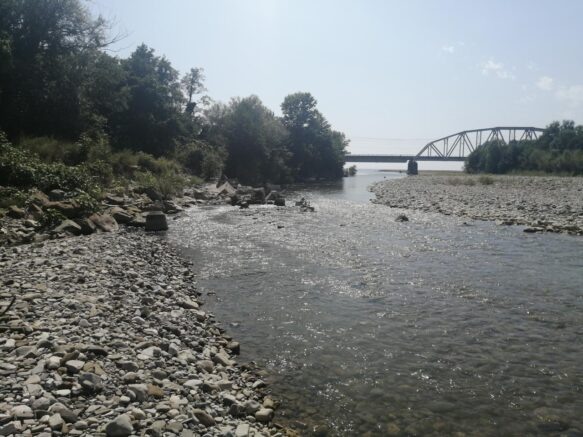    Фото: rpn.gov.ru