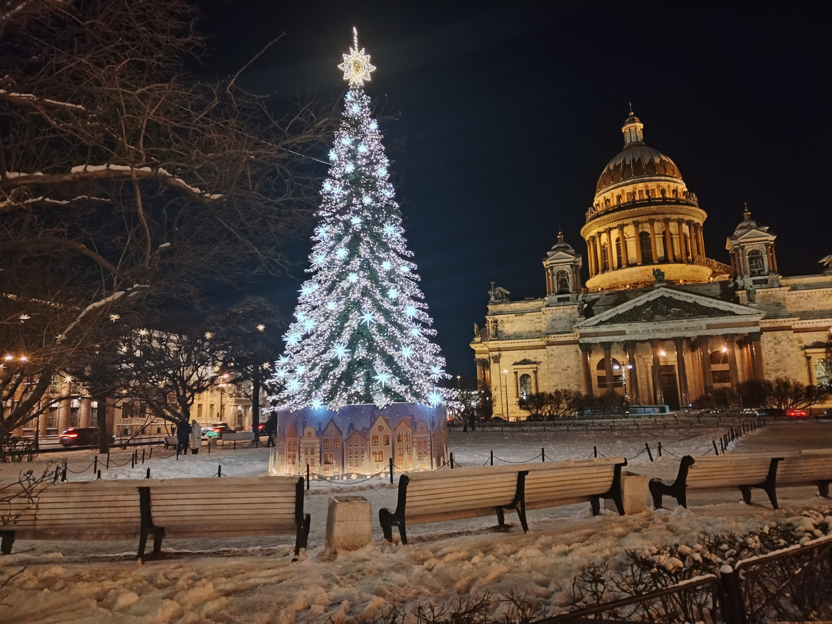 Елка перед Исаакиевским собором, а на деревьяз звезды светятся