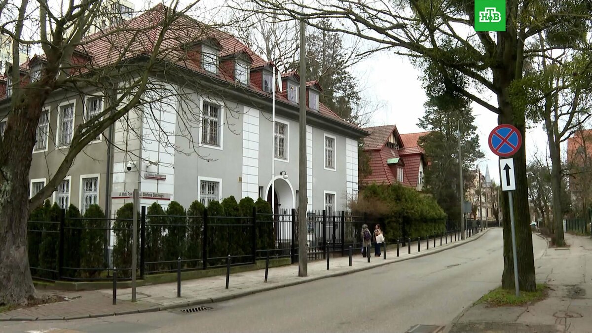    Кадр из видео: Ruptly