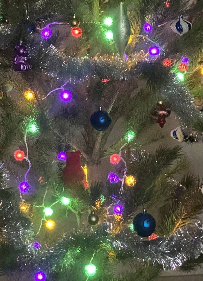    C новым, 2026 годом!