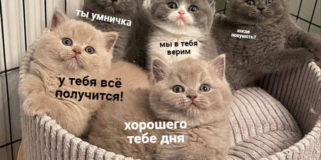 Всё, в новом году начинаю новую жизнь! Почему у тебя это никак не получается