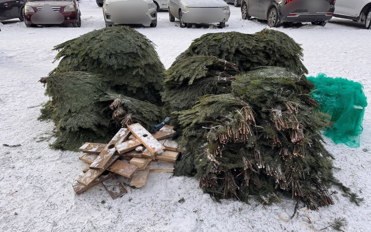 Фото: пресс-служба ГУ МВД России по Челябинской области