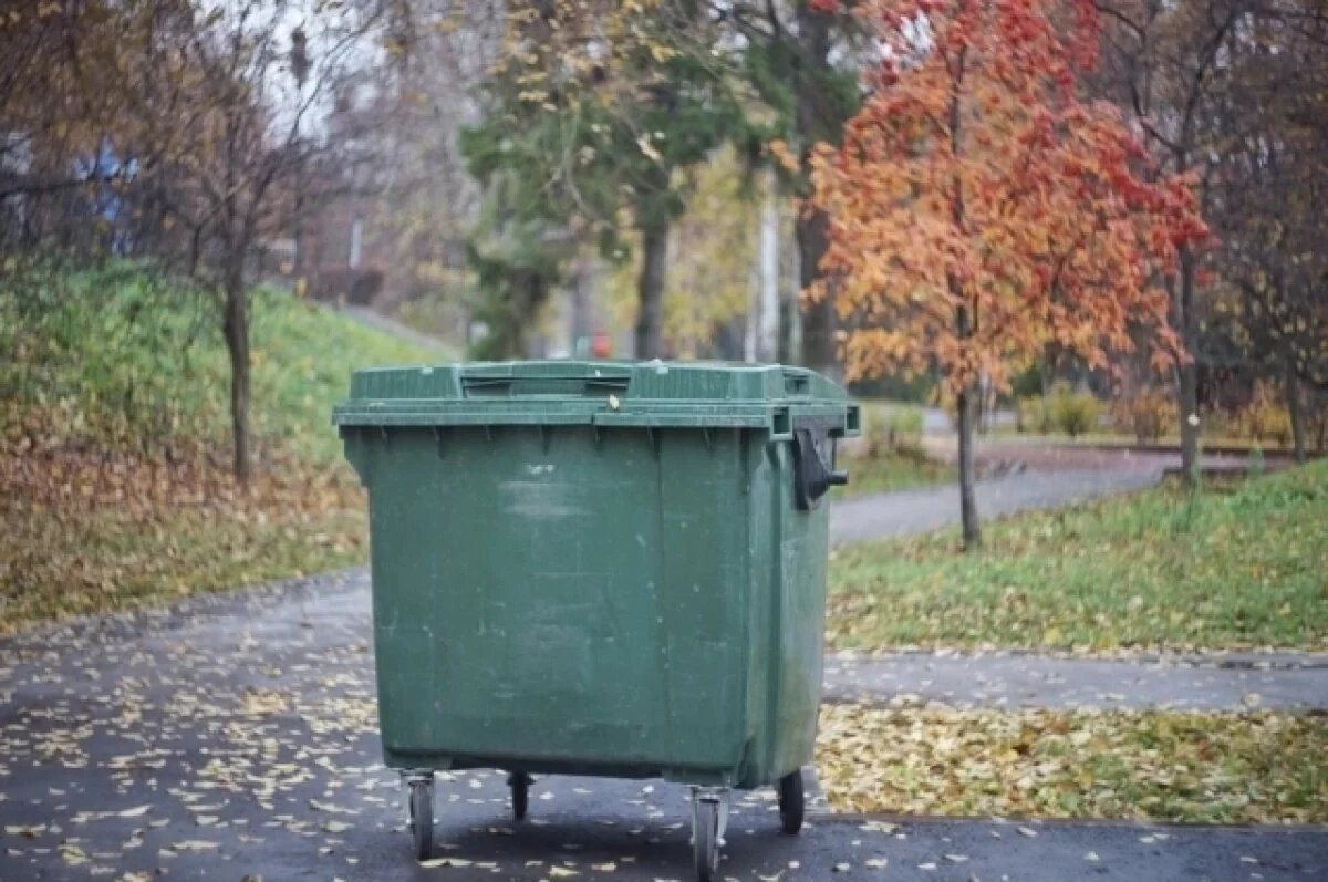    Мусорная история.