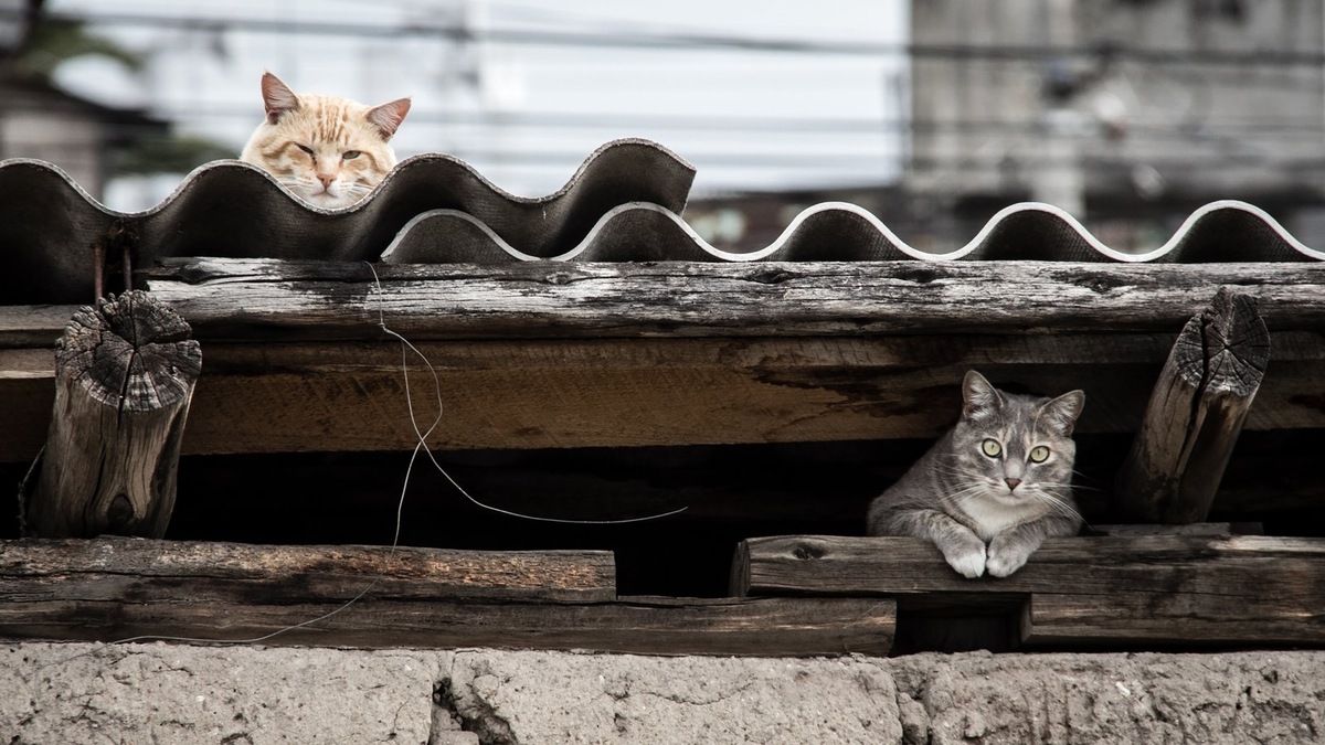    Фото подобрано под тему статьи