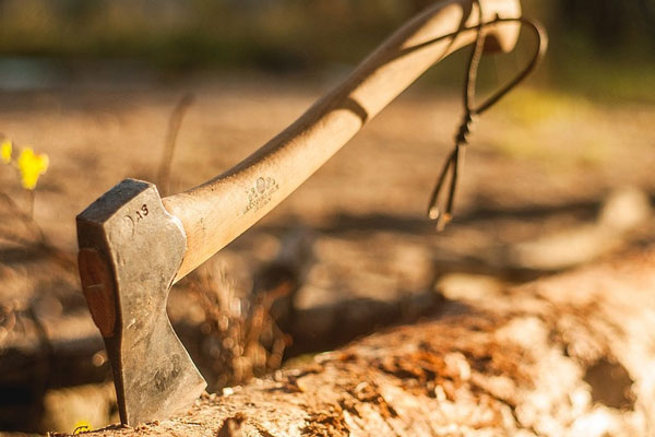     Фото: pixabay.com