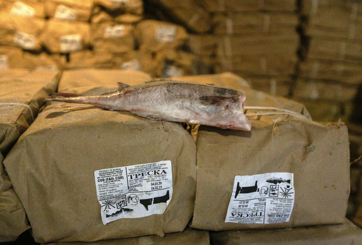 Выгрузка рыбы в порту © Sputnik