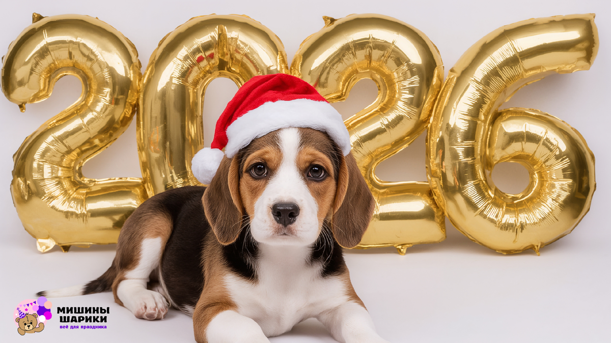 Фотозона на новый год своими руками