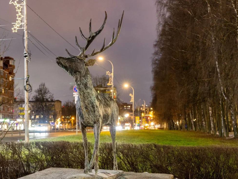    Фото: t.me/AnnaKrotova_Lobnya