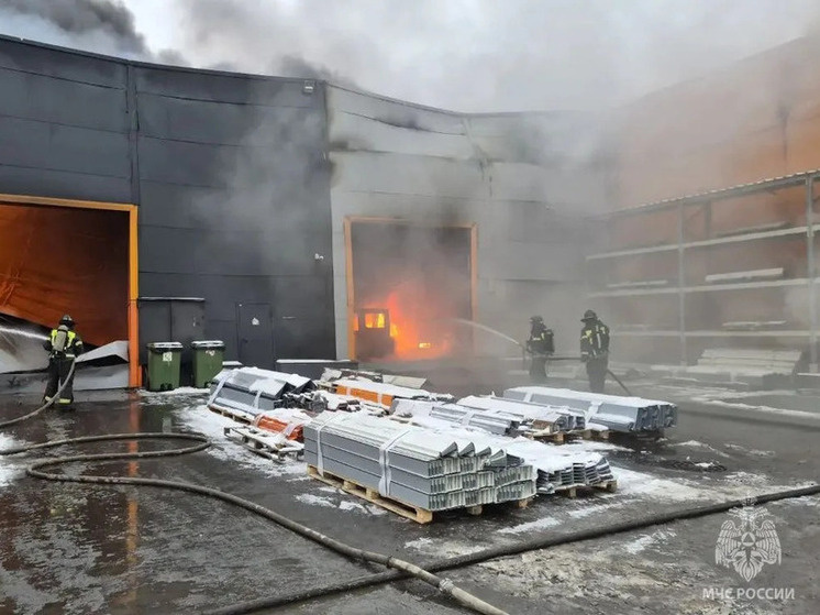     Фото: МЧС России