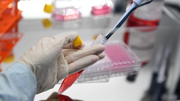    © РИА Новости . Григорий Сысоев