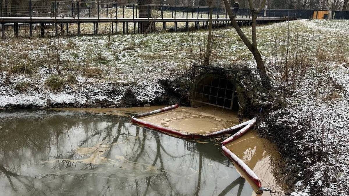    Фото: Прокуратура Москвы