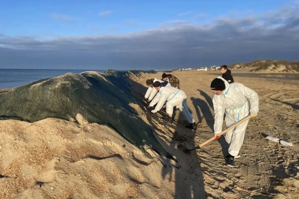    В Анапе и Темрюкском районе за две недели не нашли новых выбросов мазута Фото: оперативный штаб Краснодарского края