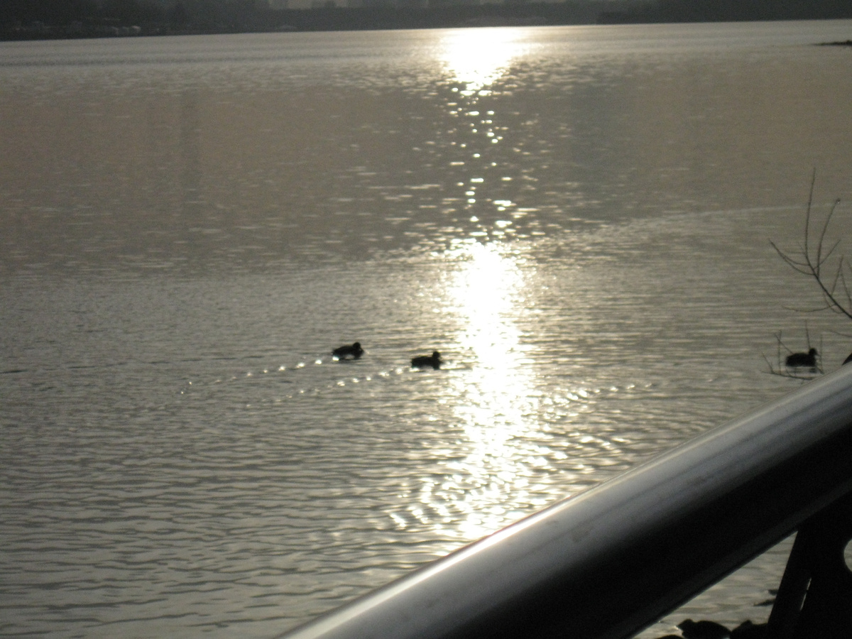 Две недели назад.