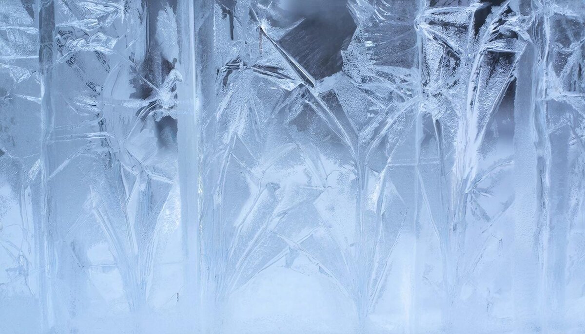 День для наведения порядка, баланса и наполнения ресурсом.