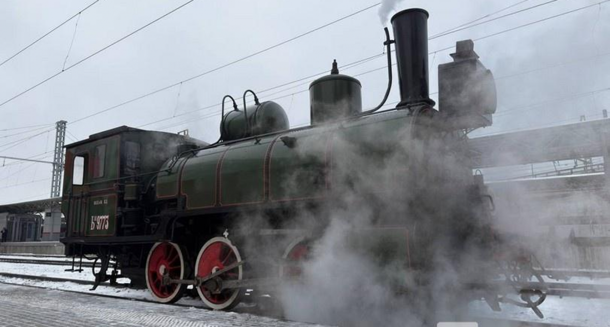    Фото с сайта ic.vgoroden.ru