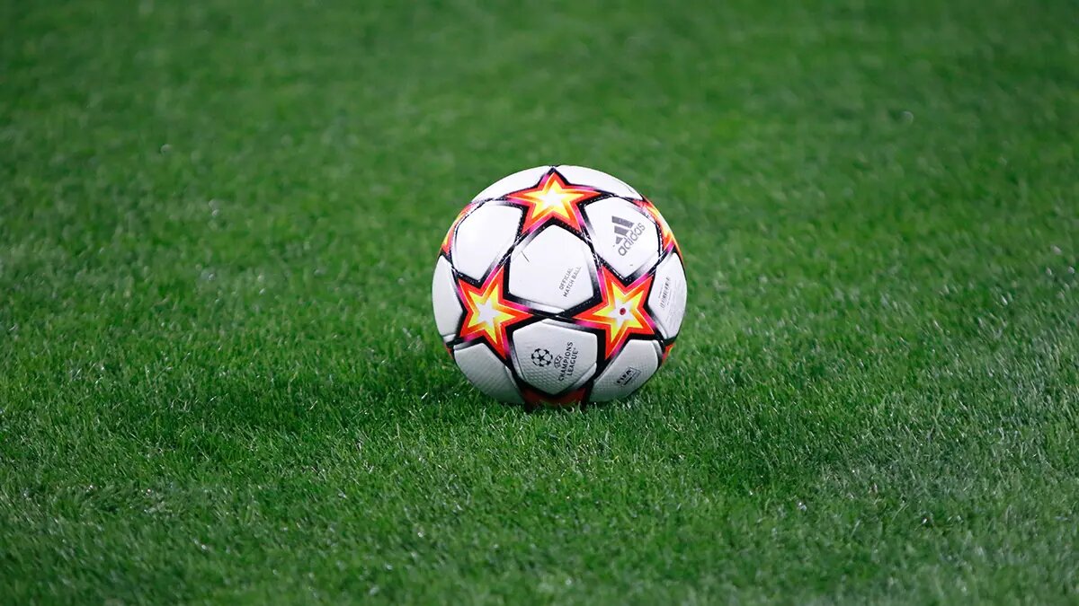    Фото: vm.ru Полина Белоусова