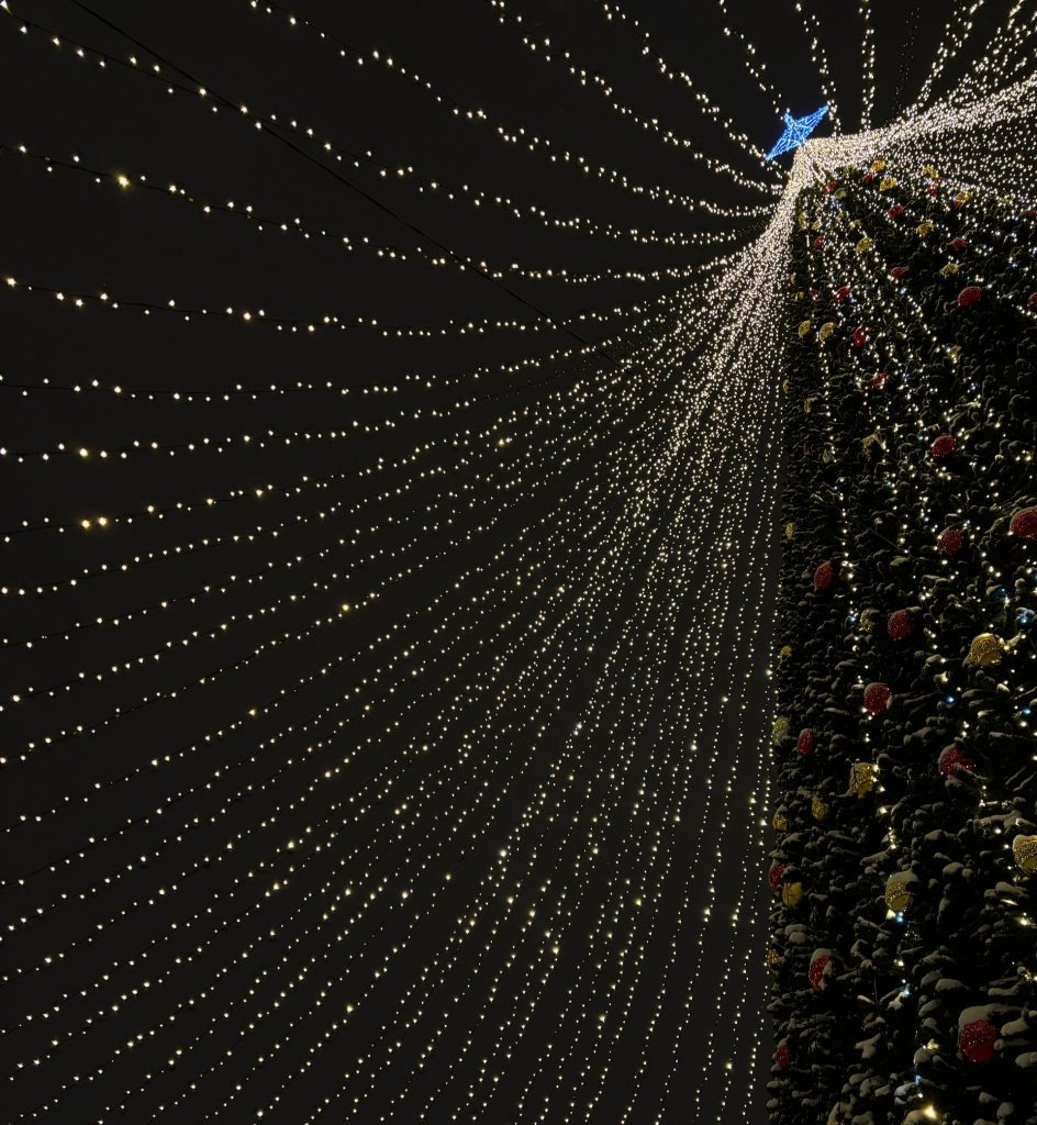    Григорьев Игорь