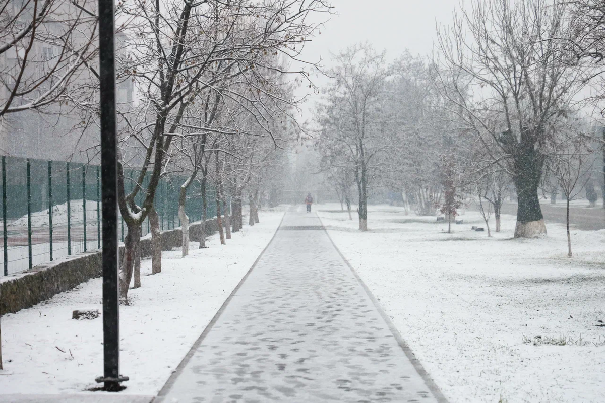    Фото: ТРК «Таврия»