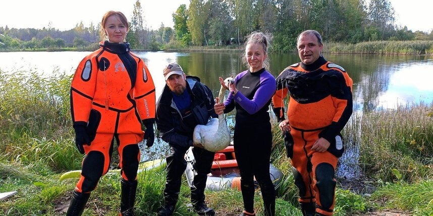    предоставлено службой спасения животных "Кошкиспас"