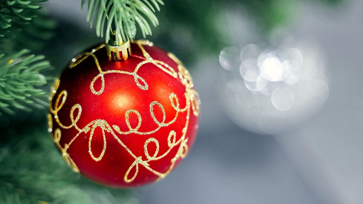    Фото: Андрей Ткачев/«Ямал-Медиа»