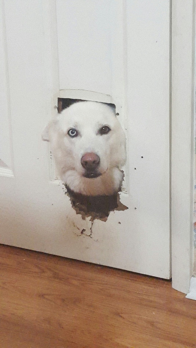 Источник: zensiert.net