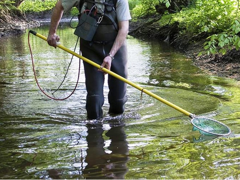 Двуногий хищник. Фото: Global Look Press/F. Hecker/blickwinkel
