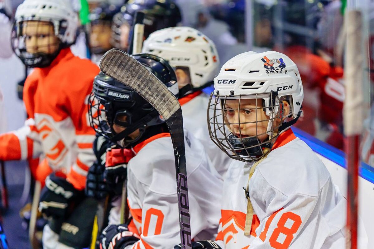    Фото: Администрация Орехово-Зуевского городского округа, источник: ozmo.ru