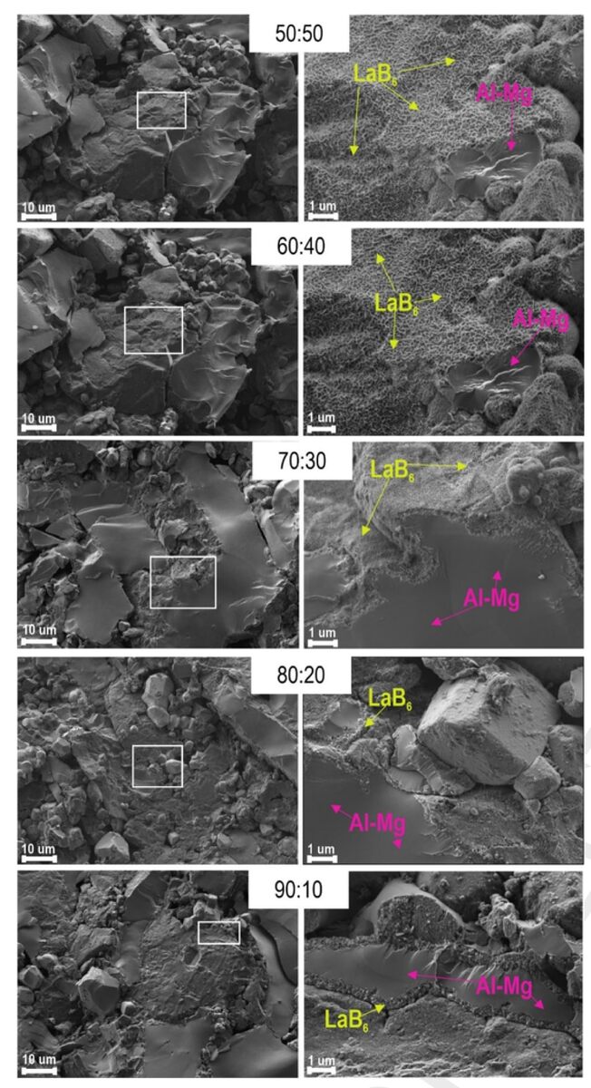    СЭМ изображения композитов с различными массовыми соотношениями / © Materials Characterisation