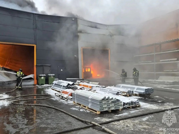     Фото: МЧС России
