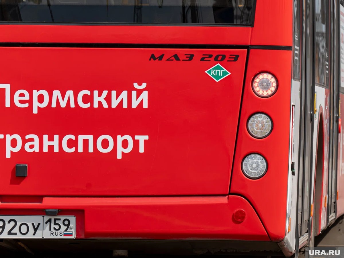     Пассажирам автобусов стоит быть внимательнее