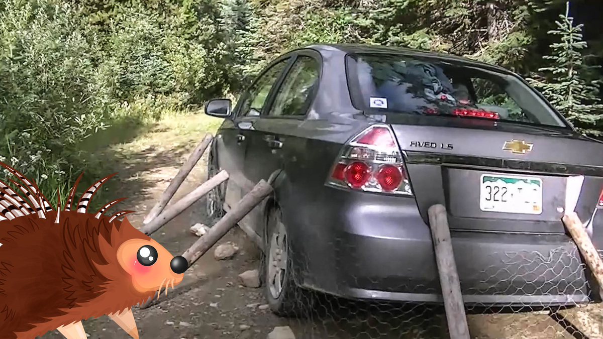 Источник фото: www.flickr.com