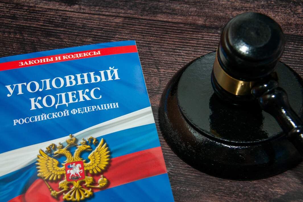 Фото: Global Look Press/Svetlana Vozmilova