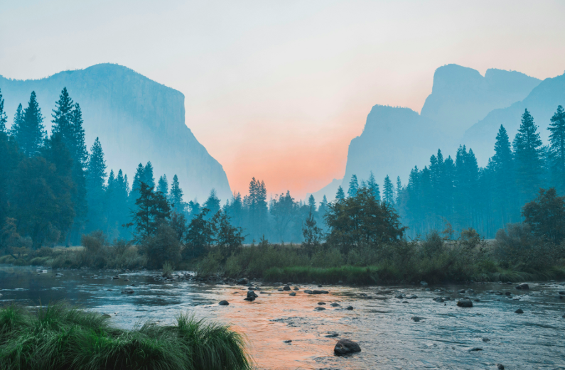 Фото: rawpixel / Unsplash