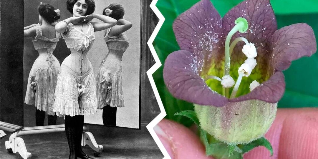 15 модных и косметических трендов прошлого, которые калечили, сводили с ума и убивали