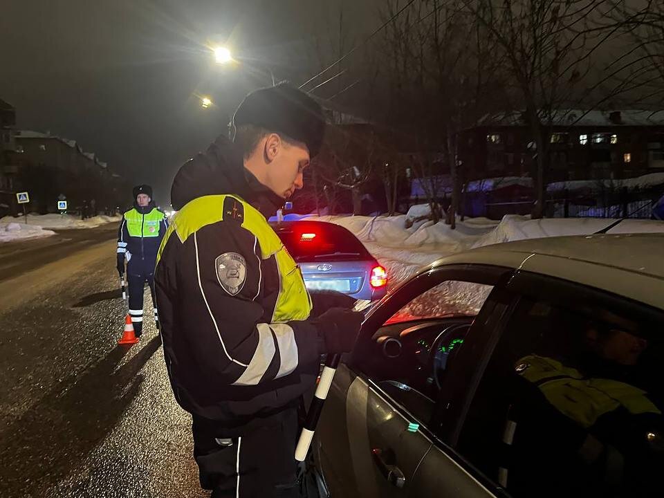     Фото: МедиаБанк Подмосковья/Нина Басистая