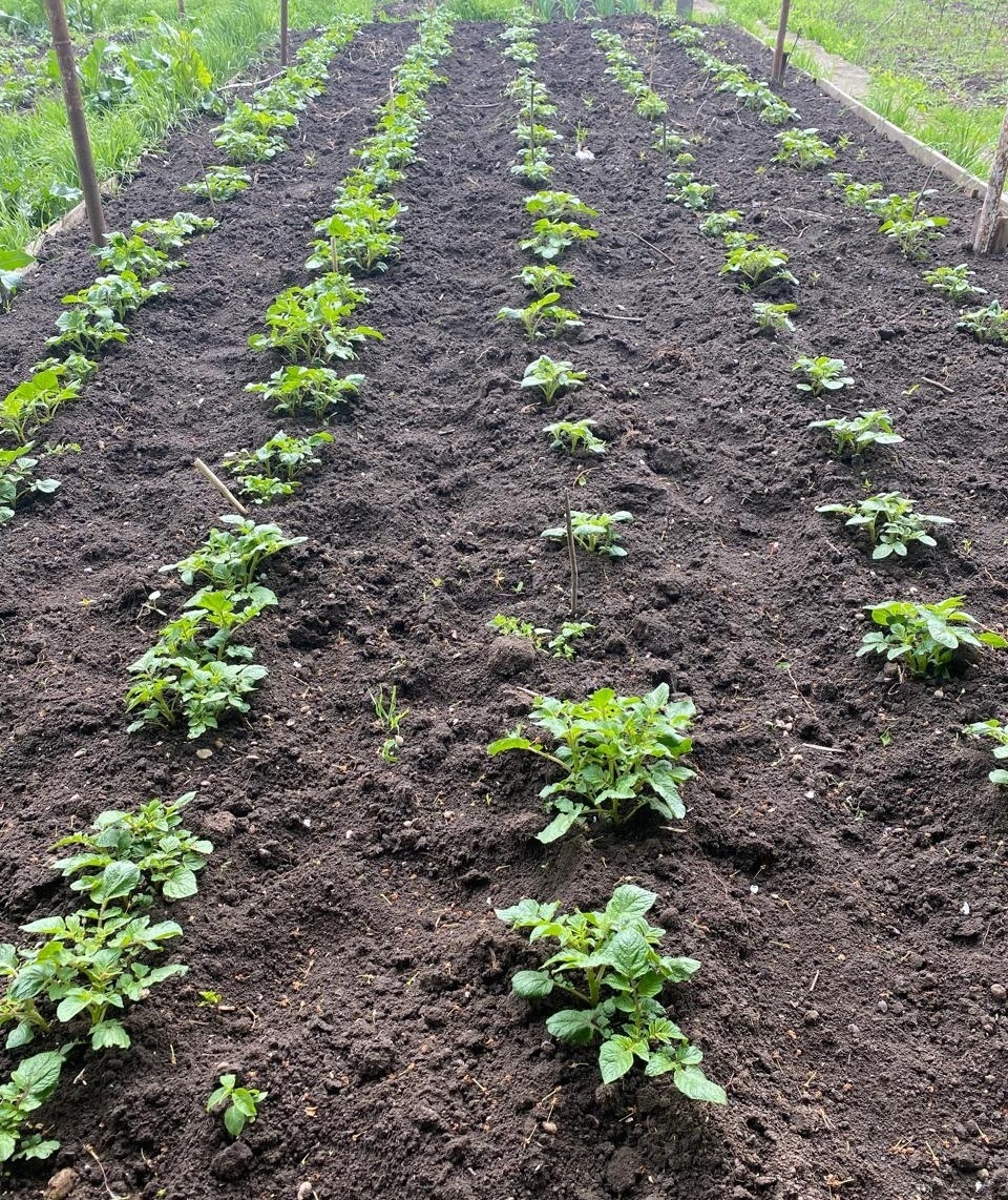 Фото автора. Весна 2025 года.