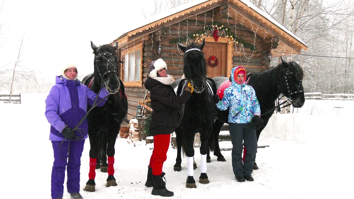    На ферме в Нижневартовском районе проводят прогулки и фотосессии на лошадях