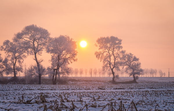 LinXiaoFu/Shutterstock/FOTODOM