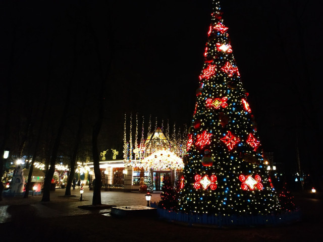    фото: Елена Костюченкова