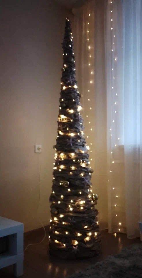    Выбраны лучшие экоелки КарелииМинприроды Карелии