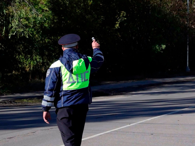    фото: скриншот из видео / Госавтоинспекция Липецкой области