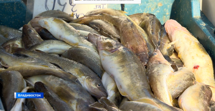    Источник фото: